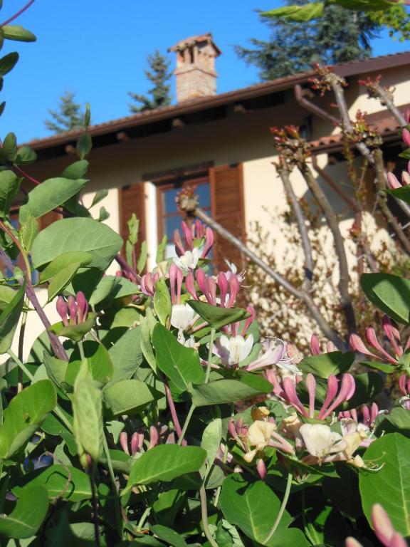 Agriturismo Affittacamere Barbarossa دولياني المظهر الخارجي الصورة