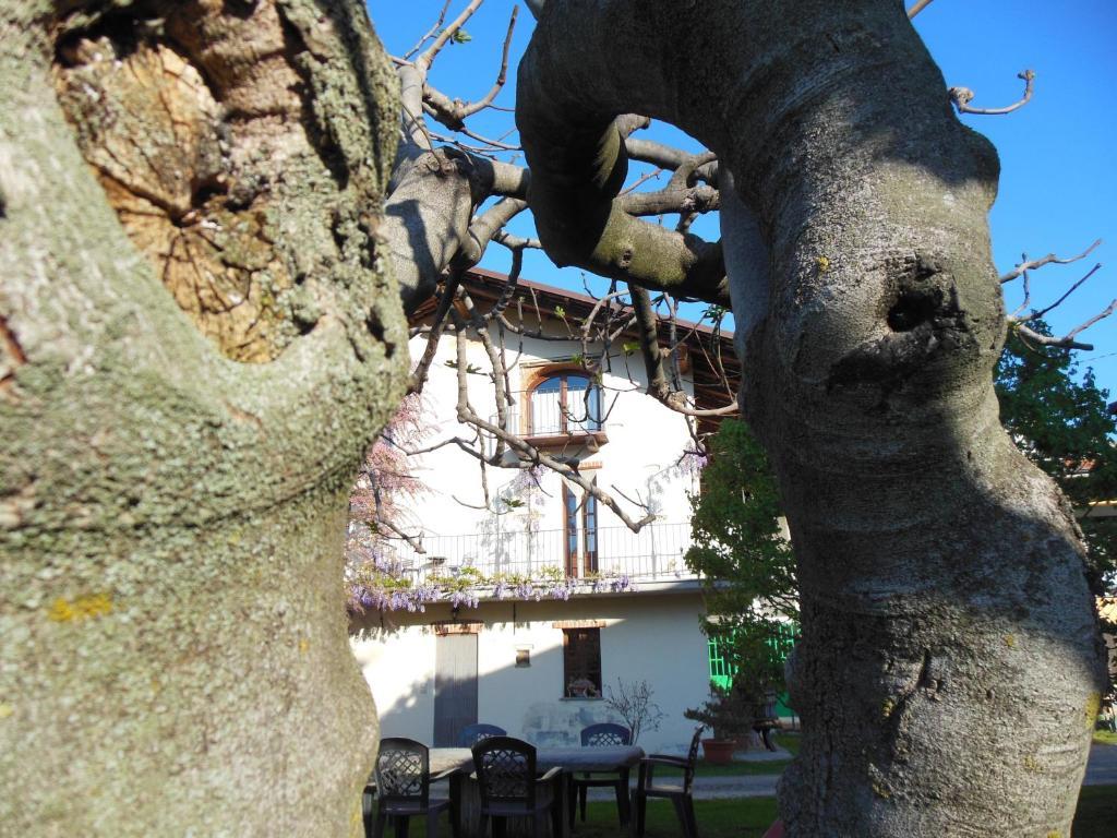 Agriturismo Affittacamere Barbarossa دولياني المظهر الخارجي الصورة