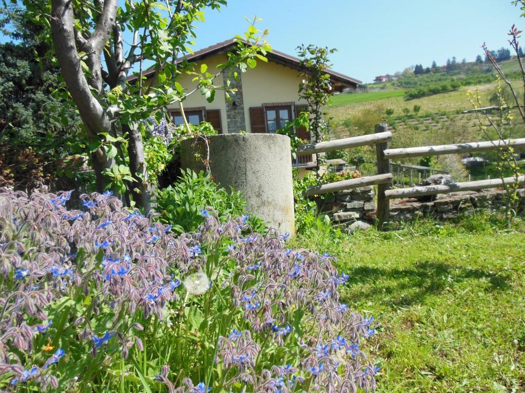 Agriturismo Affittacamere Barbarossa دولياني المظهر الخارجي الصورة